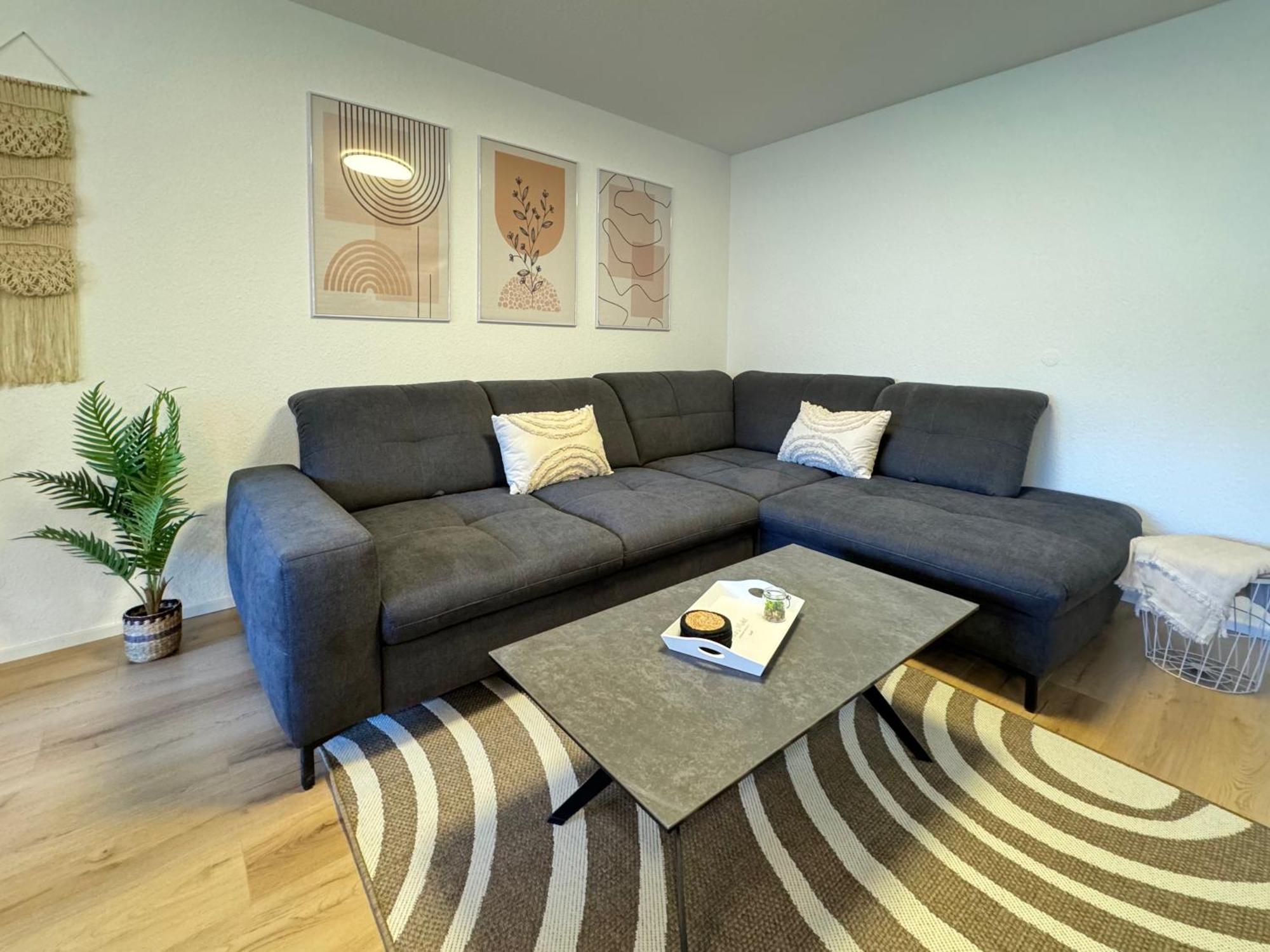 3 Zimmer Apartment, 90 Qm, Ruhig Und Zentrumsnah, Max 6 Pers, 15 Qm Balkon , Private Garage, Internet 1000 Mbit 진델핑겐 외부 사진